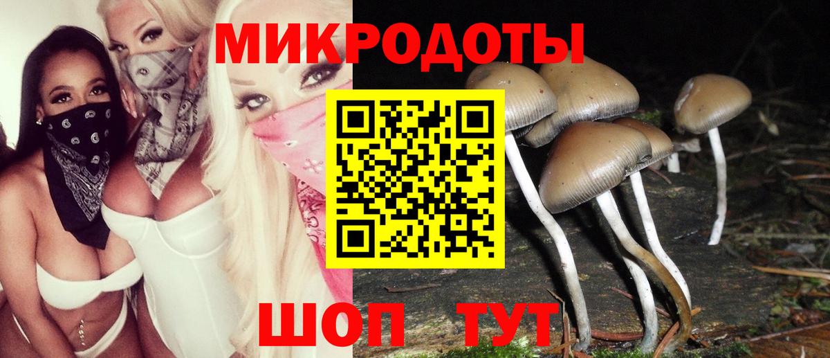 Саратов  Галлюциногенные грибы Psilocybe  Вход с VPN 