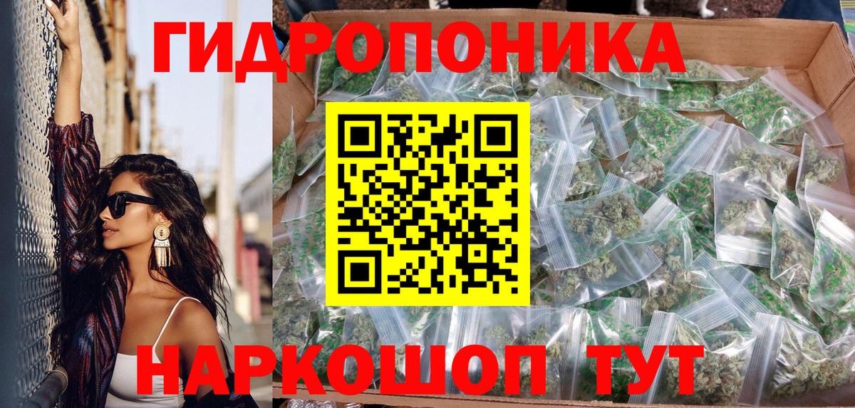 Марихуана сатива Саратов